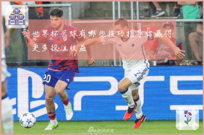 世界杯买球有哪些技巧指导你赢得更多投注收益