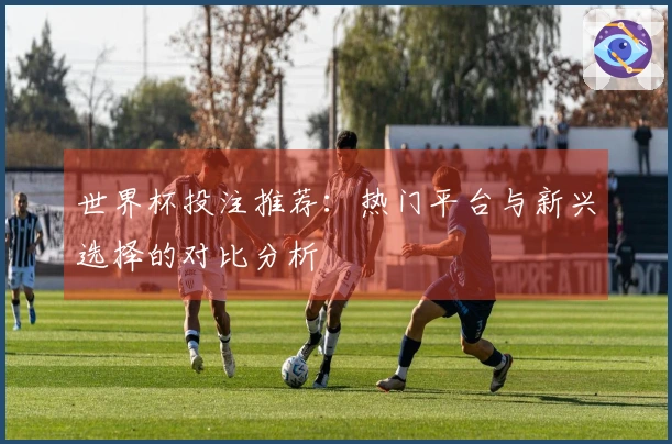 世界杯投注推荐：热门平台与新兴选择的对比分析