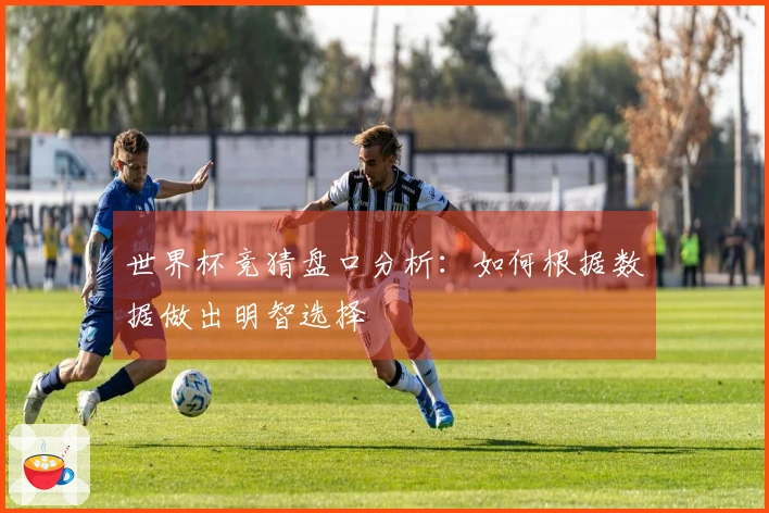 世界杯竞猜盘口分析：如何根据数据做出明智选择