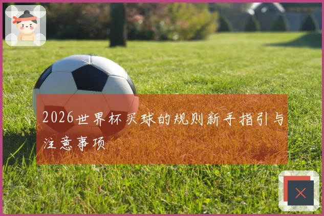 2026世界杯买球的规则新手指引与注意事项