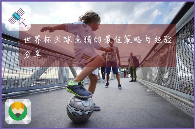 世界杯买球竞猜的最佳策略与经验分享