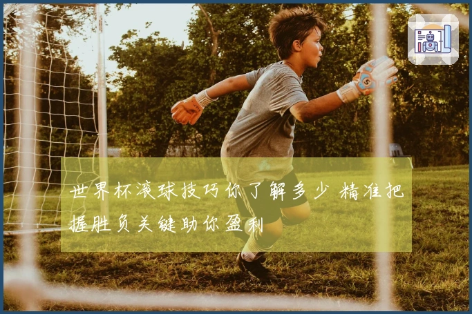 世界杯滚球技巧你了解多少 精准把握胜负关键助你盈利
