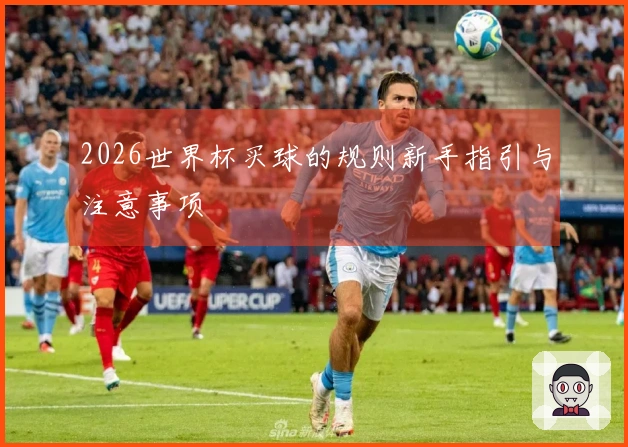 2026世界杯买球的规则新手指引与注意事项