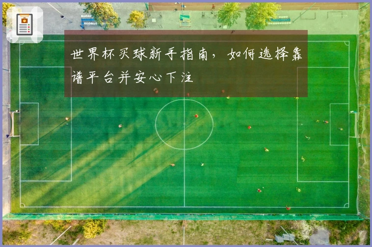 世界杯买球新手指南，如何选择靠谱平台并安心下注
