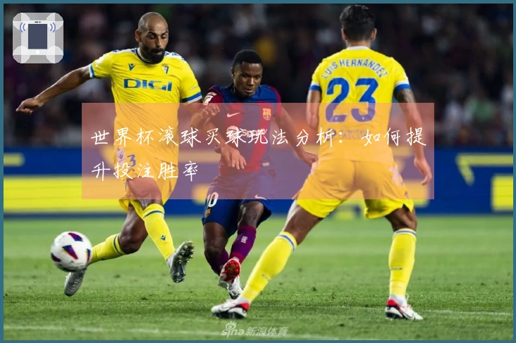 世界杯滚球买球玩法分析：如何提升投注胜率