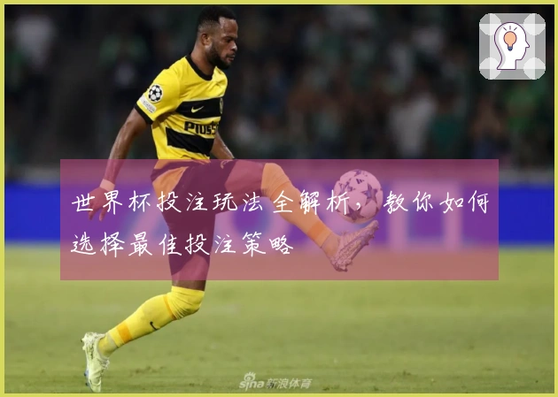 世界杯投注玩法全解析，教你如何选择最佳投注策略