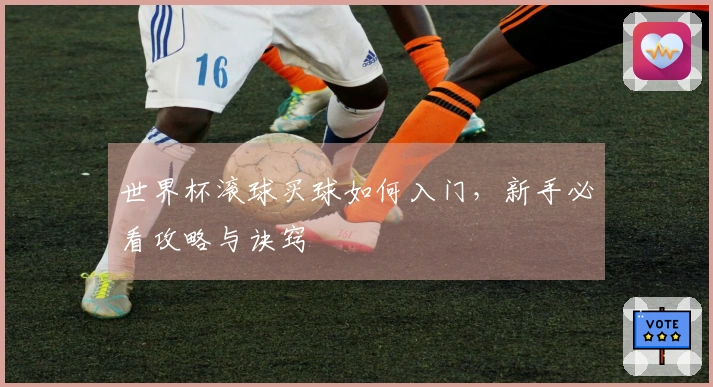 世界杯滚球买球如何入门，新手必看攻略与诀窍