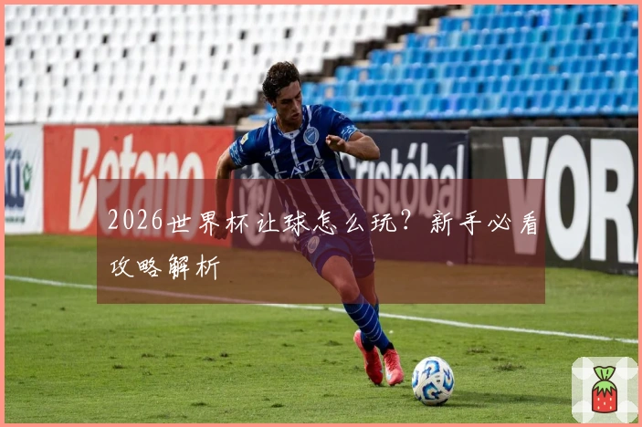 2026世界杯让球怎么玩？新手必看攻略解析