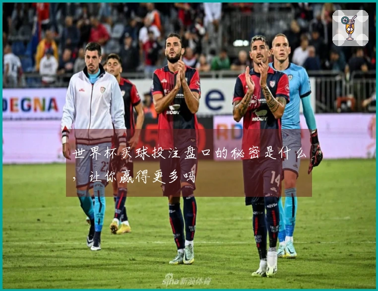 世界杯买球投注盘口的秘密是什么，让你赢得更多吗