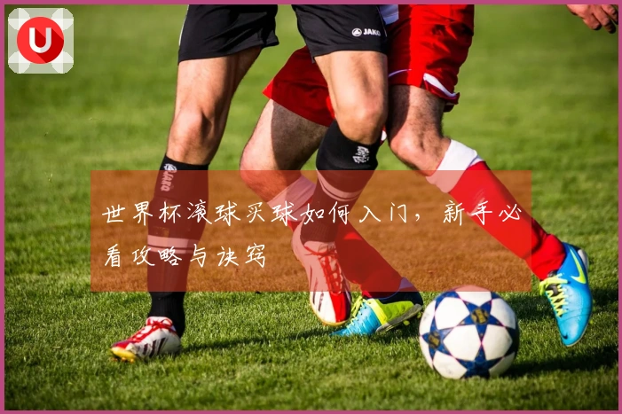 世界杯滚球买球如何入门，新手必看攻略与诀窍