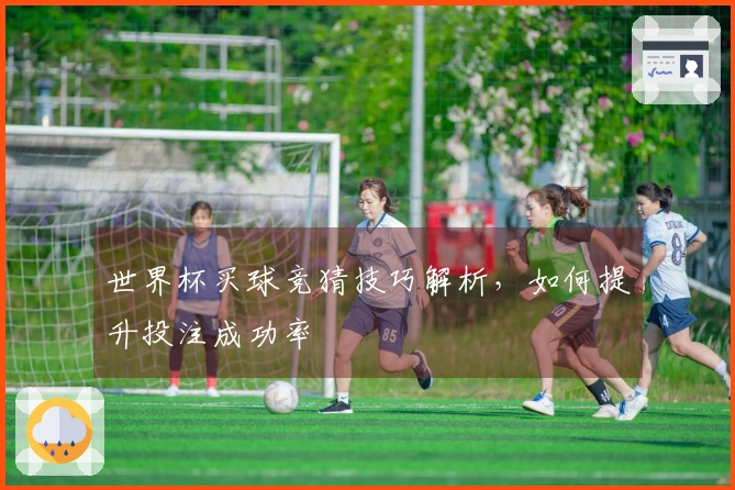 世界杯买球竞猜技巧解析，如何提升投注成功率