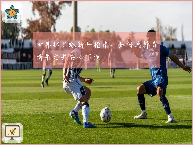 世界杯买球新手指南,如何选择靠谱平台并安心下注