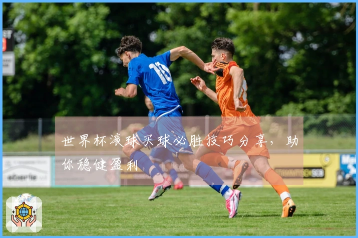 世界杯滚球买球必胜技巧分享，助你稳健盈利